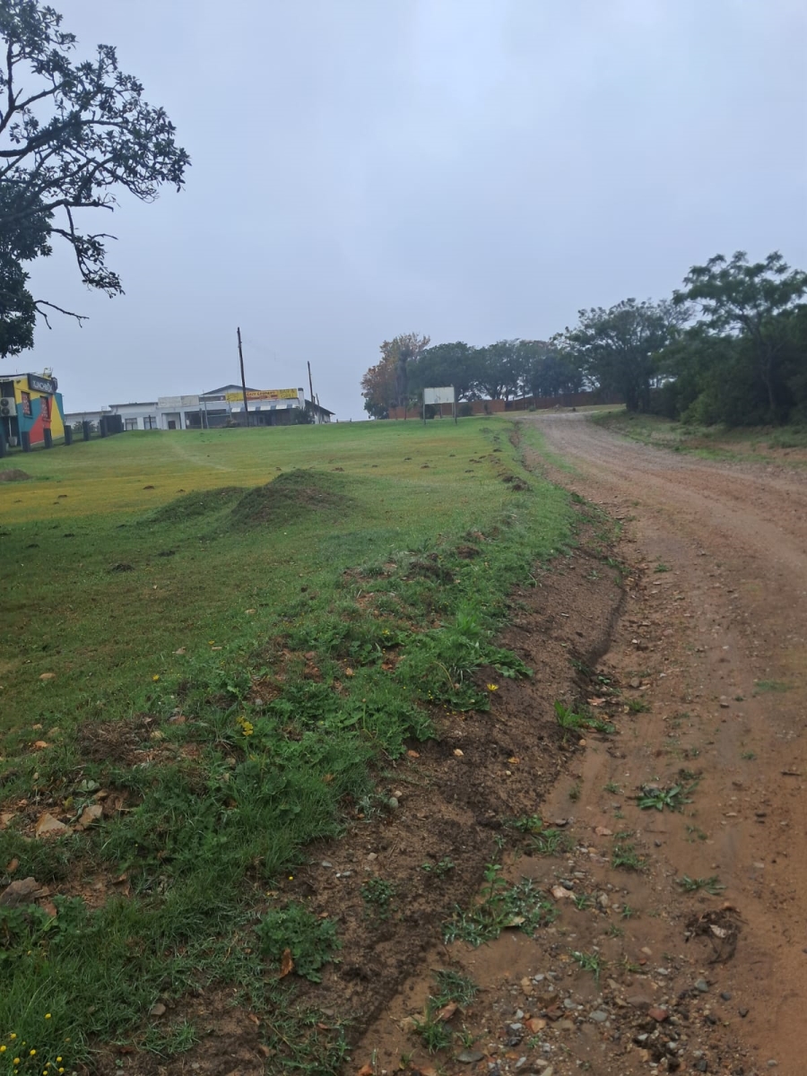 0 Bedroom Property for Sale in Alexandria Eastern Cape
